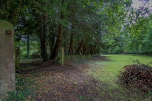 Photo 16- click for photo gallery